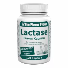 LACTASE 12.000 FCC Enzymkapsler, 120 stk