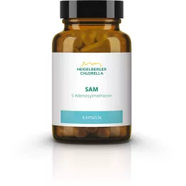 SAM S-ADENOSYLMETHIONIN kapsler, 60 stk