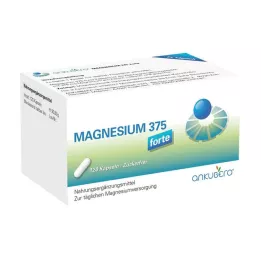 MAGNESIUM 375 forte kapsler, 120 stk