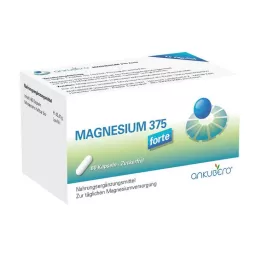 MAGNESIUM 375 forte kapsler 60 stk kapsler, 60 stk