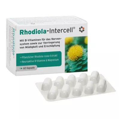 RHODIOLA-INTERCELL kapsler, 60 stk
