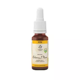 BACHBLÜTEN Nr.6 Kirsebærblomme Økologisk, 20 ml
