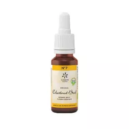 BACHBLÜTEN No.7 Chestnut Bud Organic, 20 ml