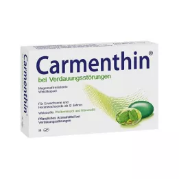 CARMENTHIN til fordøjelsesforstyrrelser msr.Bløde kapsler, 14 stk