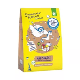 DE Dirt Sparrow Treasure Chest Have Fun, 1 stk