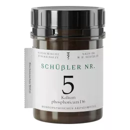 SCHÜSSLER Nr. 5 Kalium phosphoricum D 6 tabletter, 1000 stk