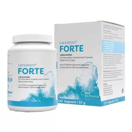 LACTOBACT Forte gastro-resistente kapsler, 120 stk