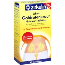 ECHTES GOLDRUTENKRAUT Natu-cur 600 mg filmtablet, 30 stk