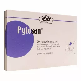 PYLOSAN kapsler, 30 stk