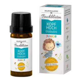 BACHBLÜTEN Murnauers børn Head Up Globulini, 10 g