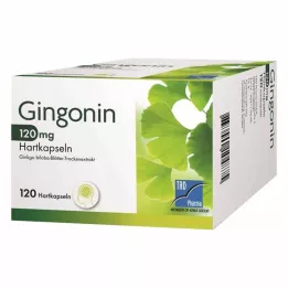 GINGONIN 120 mg hårde kapsler, 120 stk