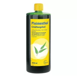 PINIMENTHOL Koldt bad fra 12 år, 1000 ml