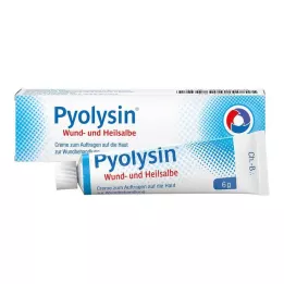 PYOLYSIN Sår- og helende salve, 6 g