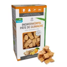 INGWER GINJER Orange ingefærtern, 60 g