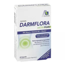 DARMFLORA Aktiv Plus 100 milliarder bakterier + 7 vitaminer, 40 stk