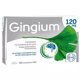 GINGIUM 120 mg filmovertrukne tabletter, 60 stk