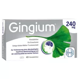 GINGIUM 240 mg filmovertrukne tabletter, 40 stk