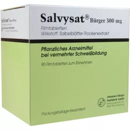 SALVYSAT Citizens 300 mg filmovertrukne tabletter, 90 stk