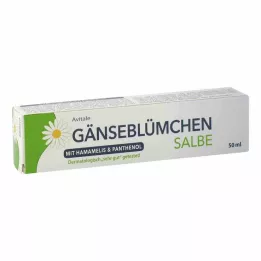 GÄNSEBLÜMCHEN Salve med troldnød &amp; Panthenol, 50 ml