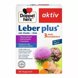 DOPPELHERZ Lever plus med cholin+zink kapsler, 30 stk
