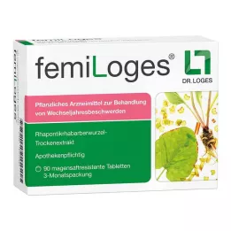 FEMILOGES gastro-resistente tabletter, 90 stk