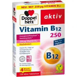 DOPPELHERZ Vitamin B12 250 aktive tabletter, 120 stk