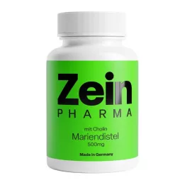 MARIENDISTEL+CHOLIN kapsler 80% silymarin, 100 stk