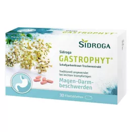 SIDROGA GastroPhyt 250 mg filmovertrukne tabletter, 30 stk