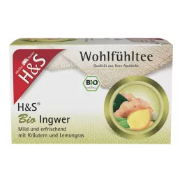H&S Økologiske ingefærfilterposer, 20X2 g