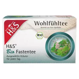 H&S Økologisk fastende tefilterposer, 20X1,5 g