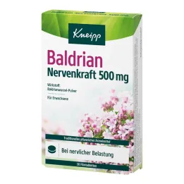 Kneipp Valerian Nerve Power 500 mg filmovertrukne tabletter, 30 stk