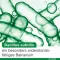 Bioticloges subtilis kapsler, 30 stk